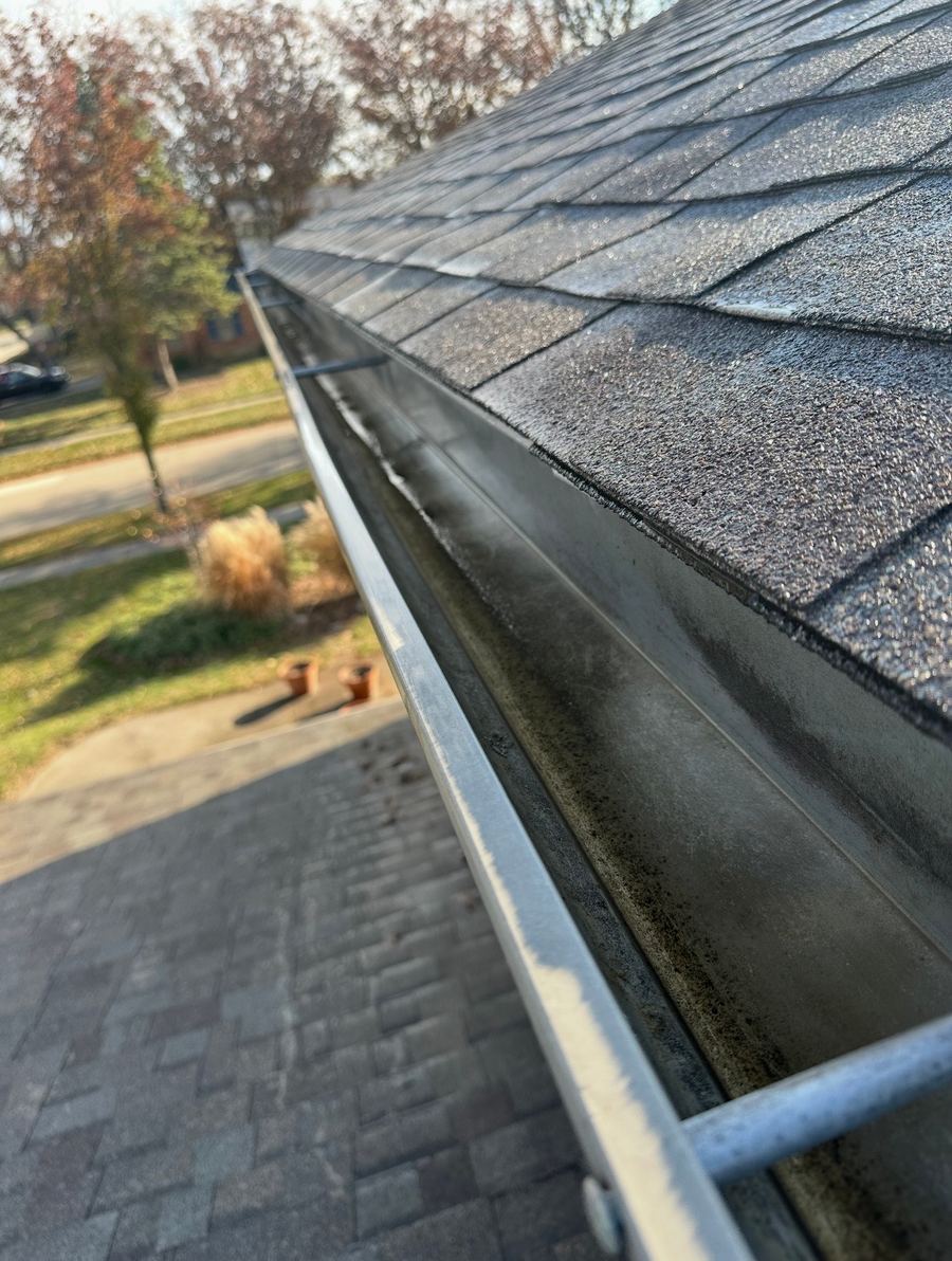Gutter Cleaning