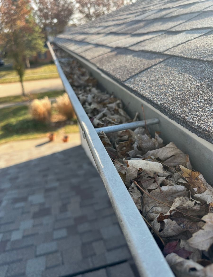 Before Gutter Cleaning