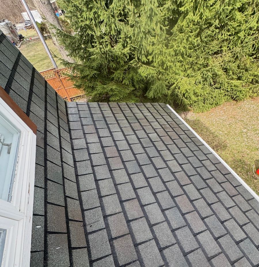 Roof Cleaning in Macomb County: How to Safely Remove Black Streaks in Michigan