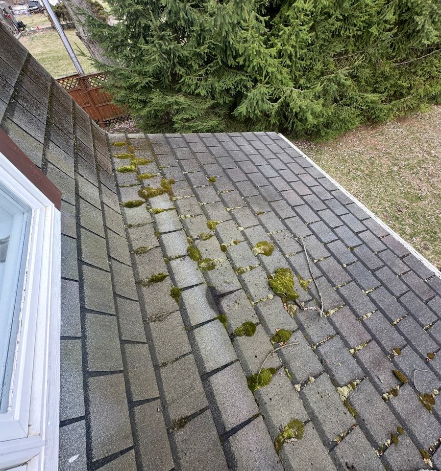Before Roof Cleaning