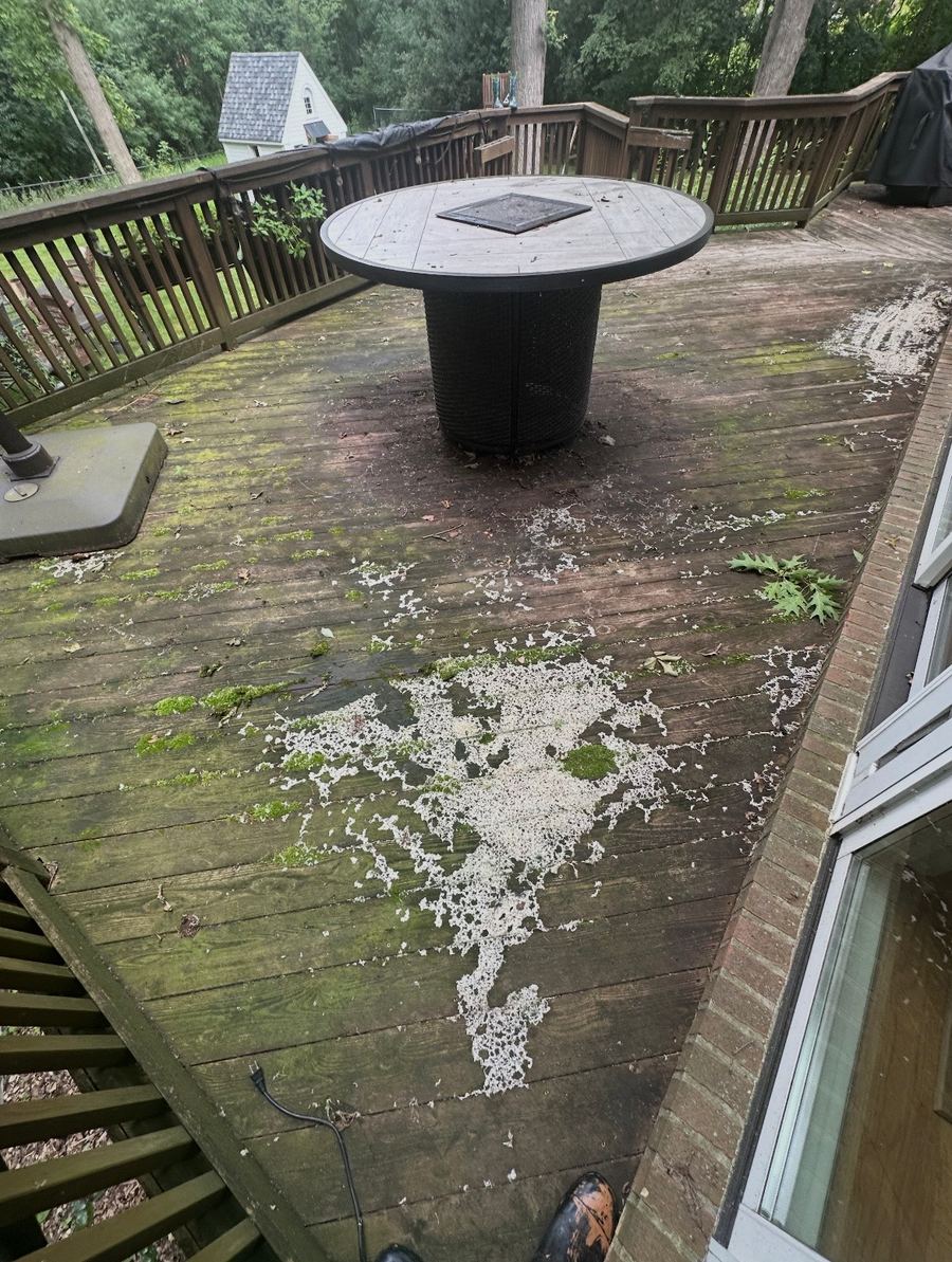 Before Deck & Patio